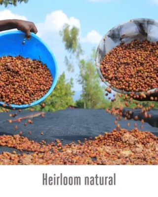 Good Coffee - Etiopia Lalesa, Natural - 250g
