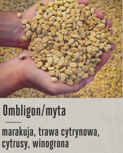 Good Coffee - Kolumbia, Penas Blancas - 250g