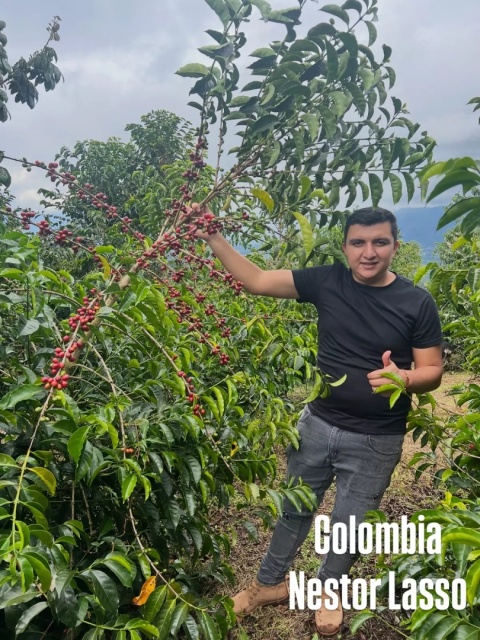 Kb Coffee x Labuna, Ogień w Szopie Vol. 5 - Kolumbia, Nestor Lasso - 250g